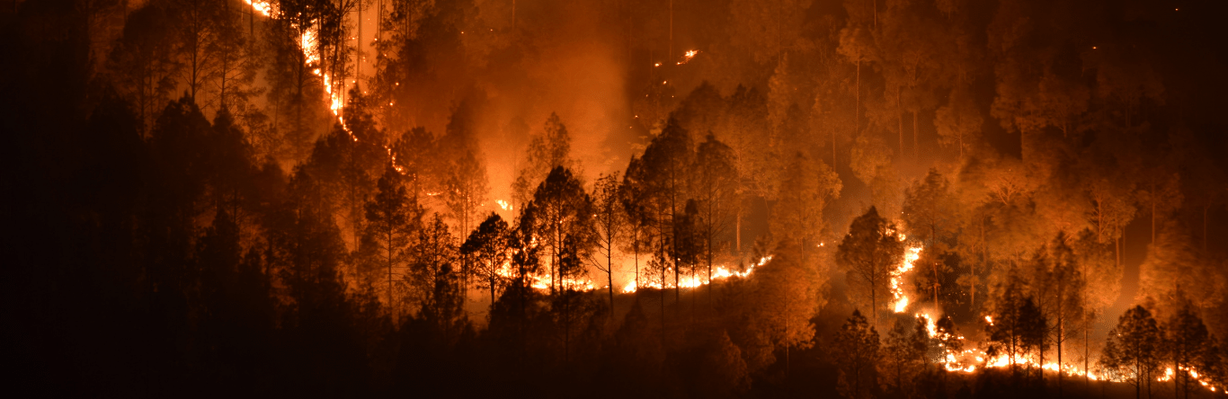 Seguros SURA - Habitat - Geociencias - Imagen principal - impacto - incendios - florestais - ecossistema