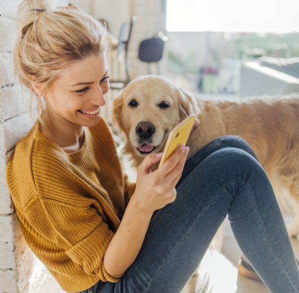 6 cuidados básicos que debes tener con tu mascota