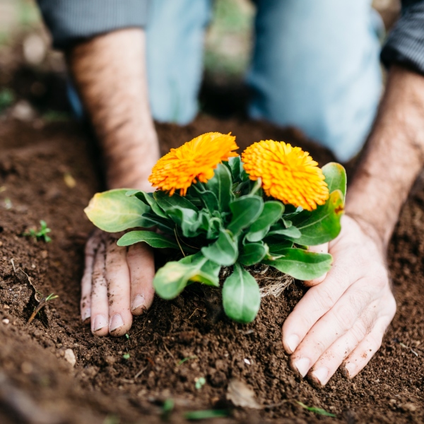 7 ventajas y beneficios de la jardinería para tu salud