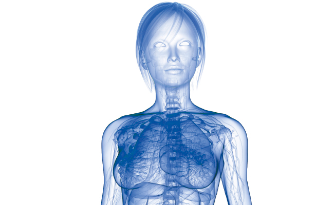 Cuerpo humano femenino transparente