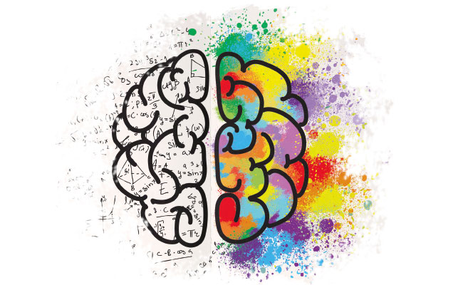 Ilustración cerebro