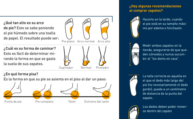 Infografía con los tipos de pies